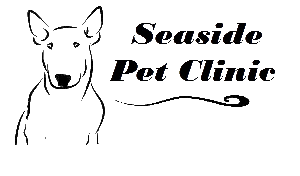 Seaside Pet Clinic -Veterinarian 